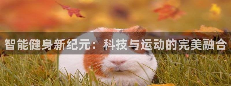 意昂4招商