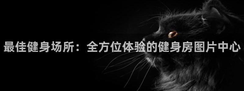 意昂4代理