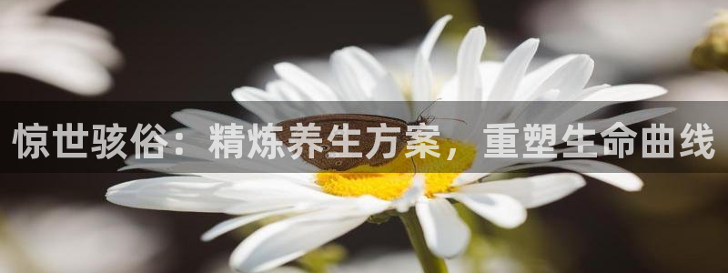 意昂4招商