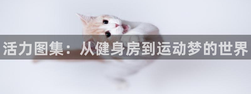 意昂4招商