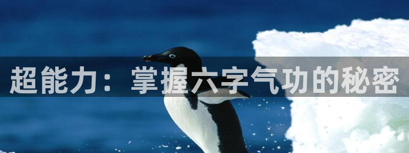 意昂4平台