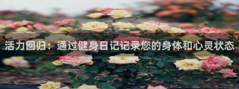 意昂4娱乐