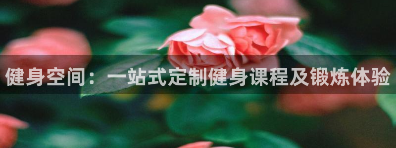 意昂4娱乐