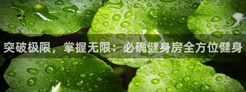 意昂4平台