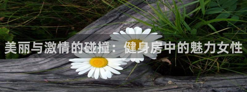 意昂4平台