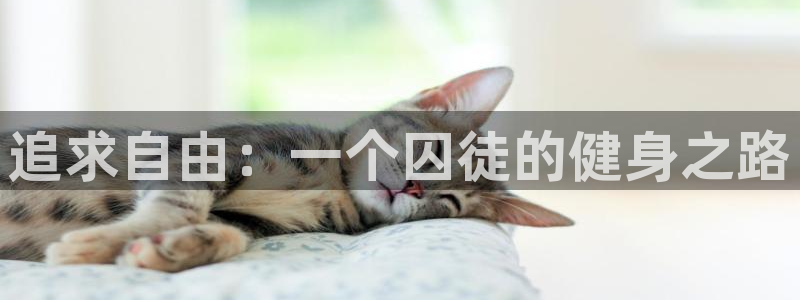 意昂4官方平台