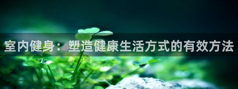 意昂4招商
