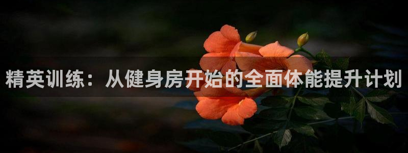 意昂4平台