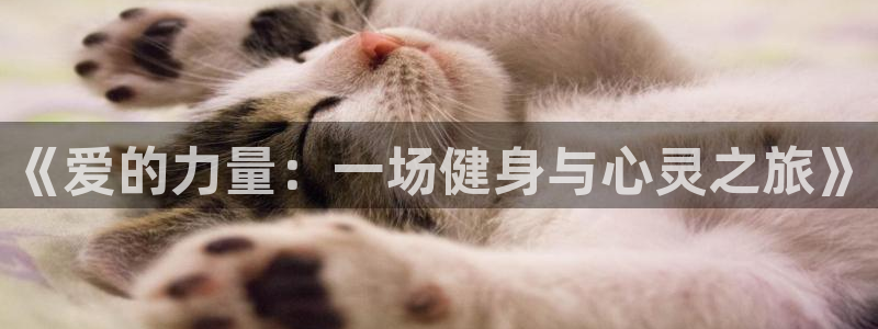 意昂4平台
